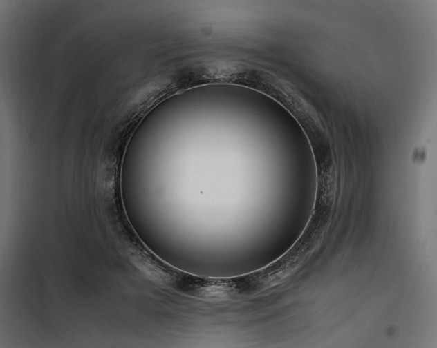 X0000100860505200806201220