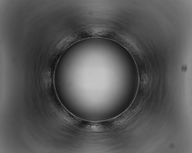 X0000100860506200806201220