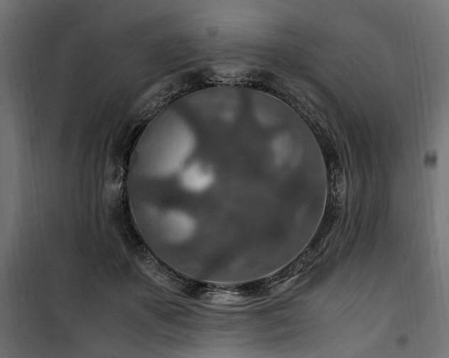 X0000100860507200806201220