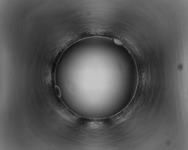 X0000100860508200806201220