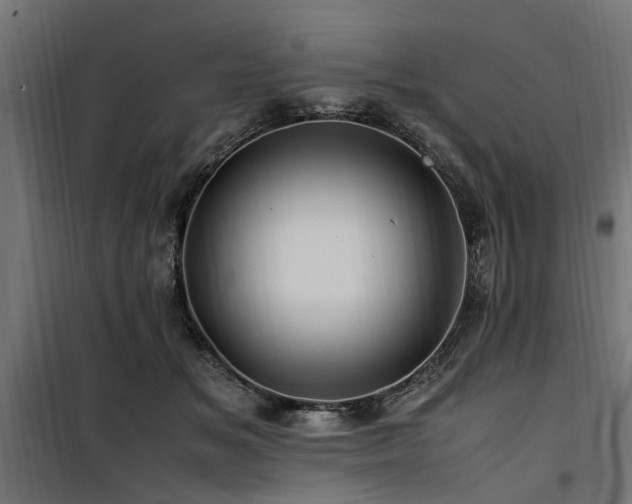 X0000100860509200806201220