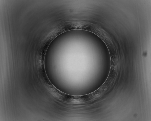 X0000100860510200806201220