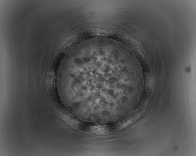 X0000100860511200806201220