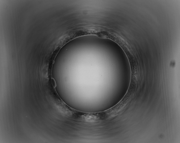 X0000100860512200806201220