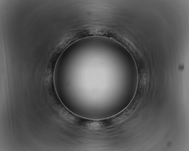 X0000100860513200806201220