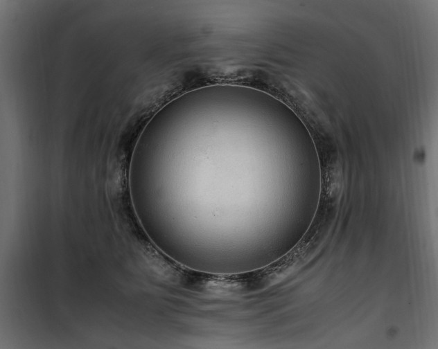 X0000100860515200806201220