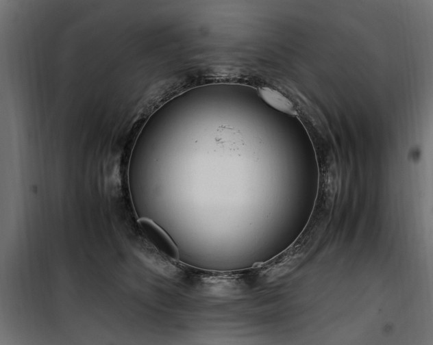 X0000100860516200806201220