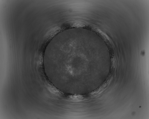 X0000100860517200806201220