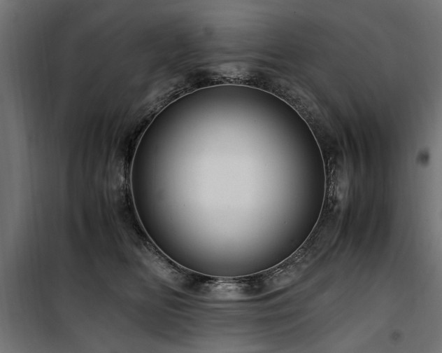 X0000100860518200806201220