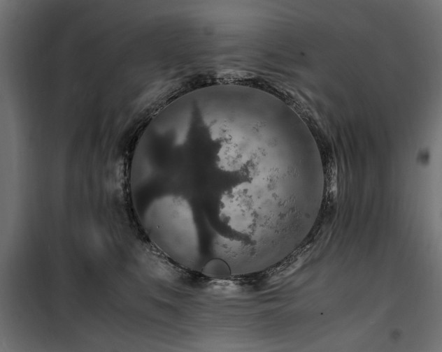 X0000100860519200806201220