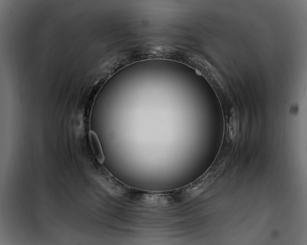 X0000100860520200806201220