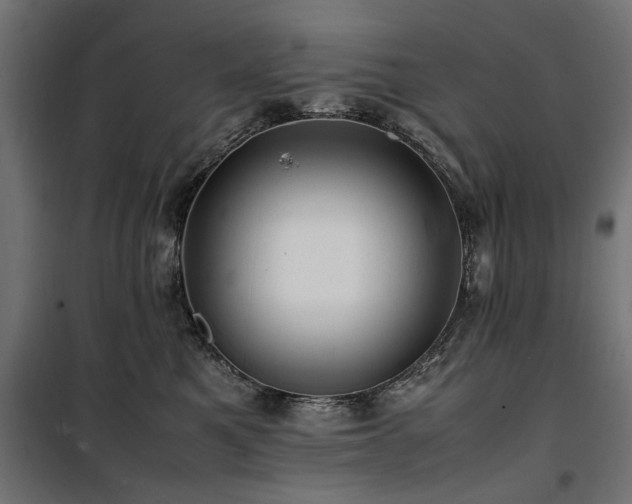 X0000100860521200806201220