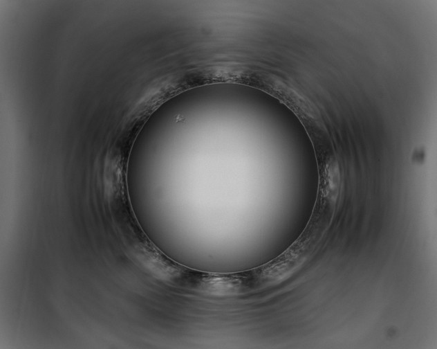 X0000100860522200806201220