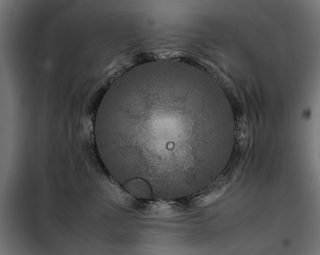 X0000100860523200806201220