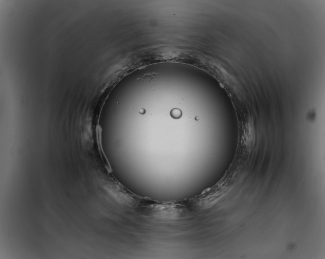 X0000100860524200806201220