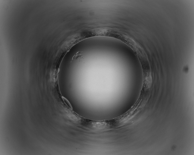 X0000100860525200806201220