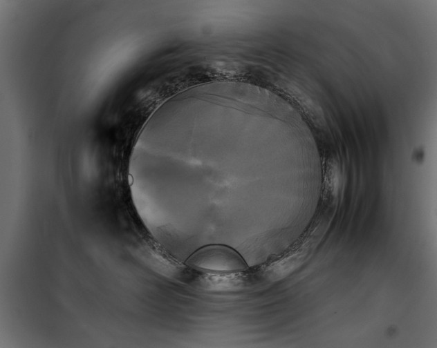 X0000100860526200806201220