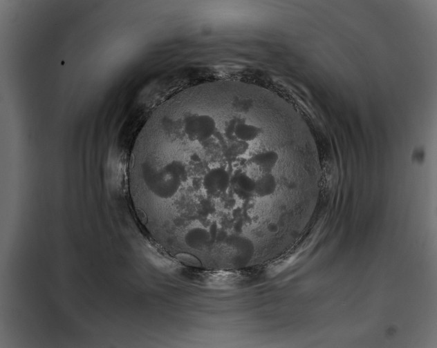 X0000100860527200806201220