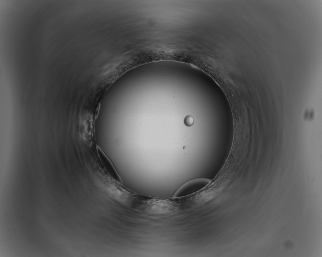 X0000100860528200806201220