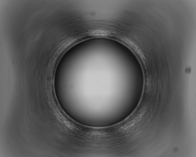 X0000100860529200806201219