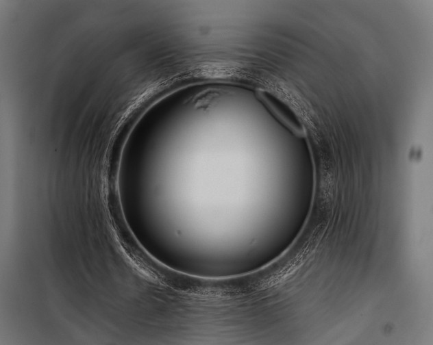 X0000100860530200806201219