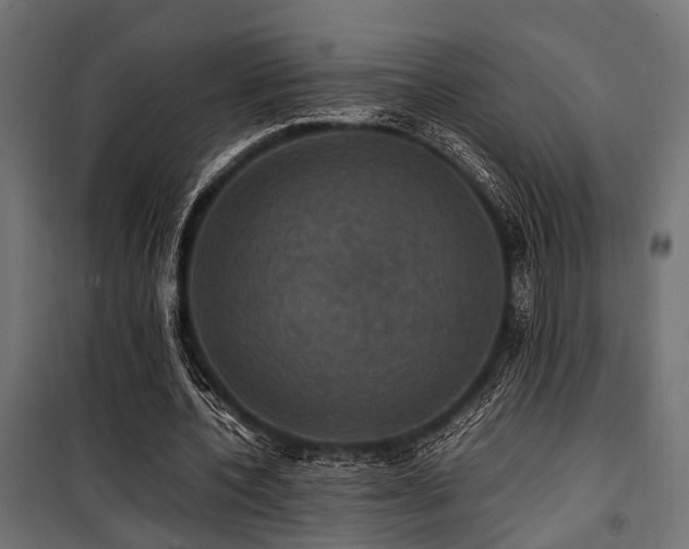 X0000100860532200806201219