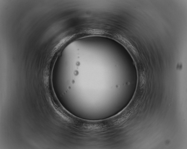 X0000100860533200806201219