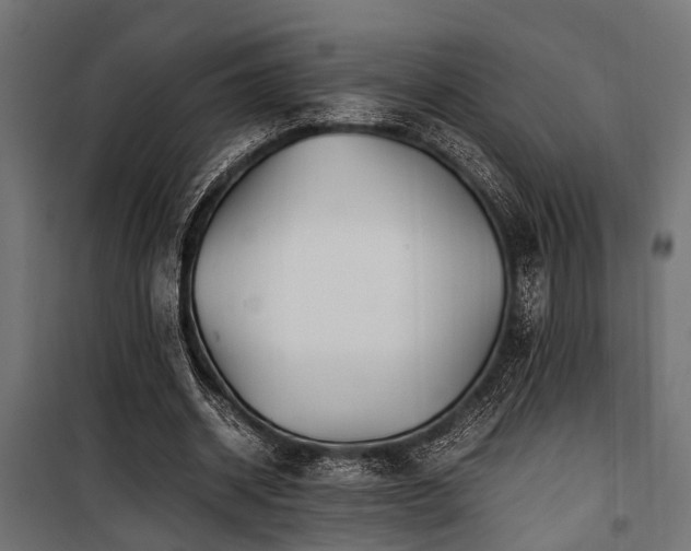 X0000100860534200806201219