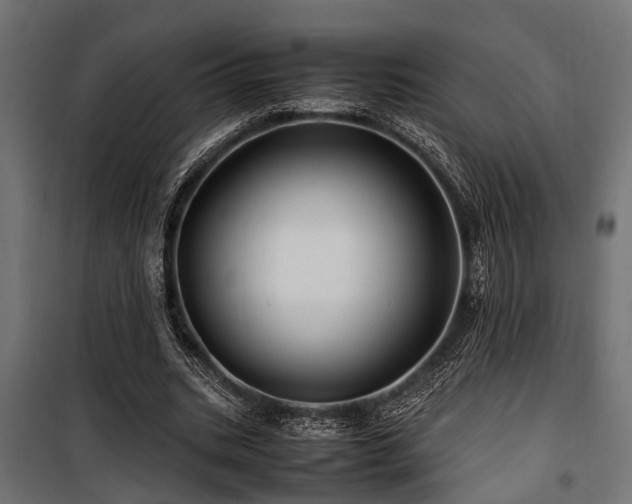 X0000100860535200806201219