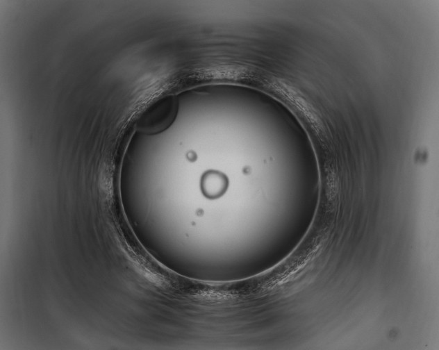 X0000100860537200806201219