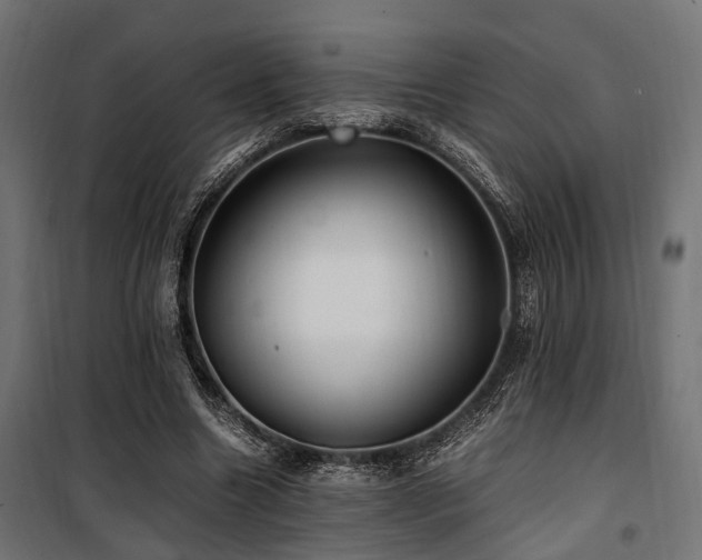 X0000100860538200806201219