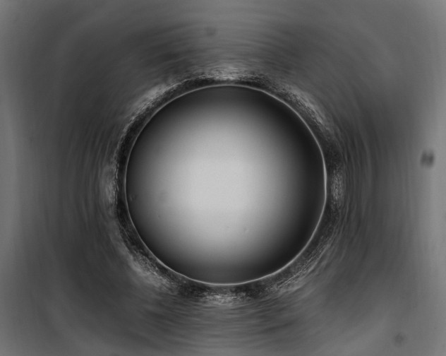 X0000100860540200806201219