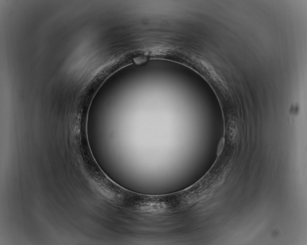 X0000100860543200806201219