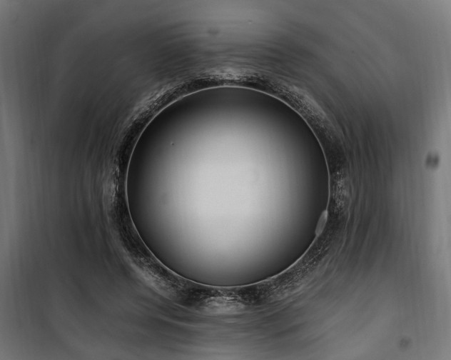 X0000100860544200806201219