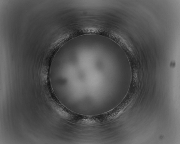 X0000100860545200806201219