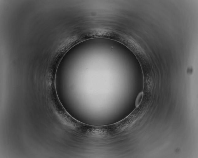 X0000100860546200806201219