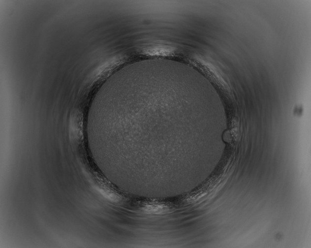 X0000100860547200806201219