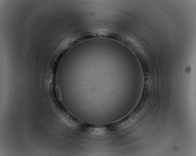 X0000100860548200806201219