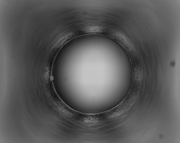 X0000100860549200806201219