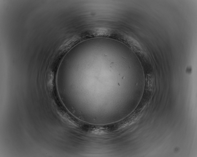 X0000100860550200806201219