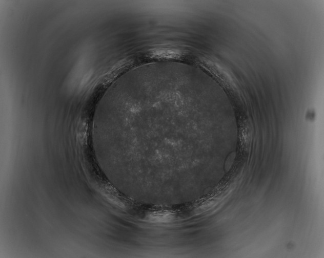 X0000100860551200806201220