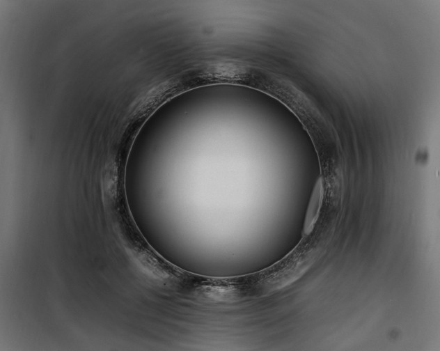 X0000100860552200806201220