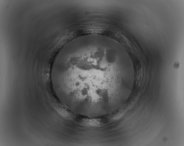 X0000100860553200806201220