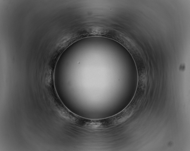 X0000100860554200806201220