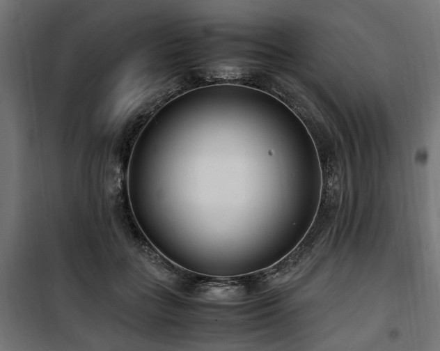 X0000100860555200806201220