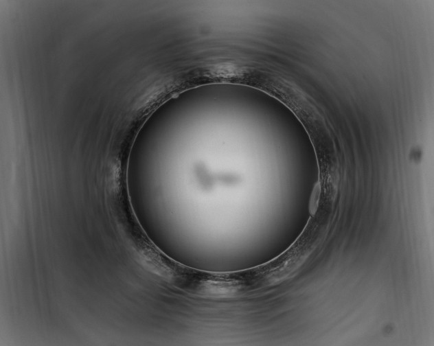 X0000100860556200806201220