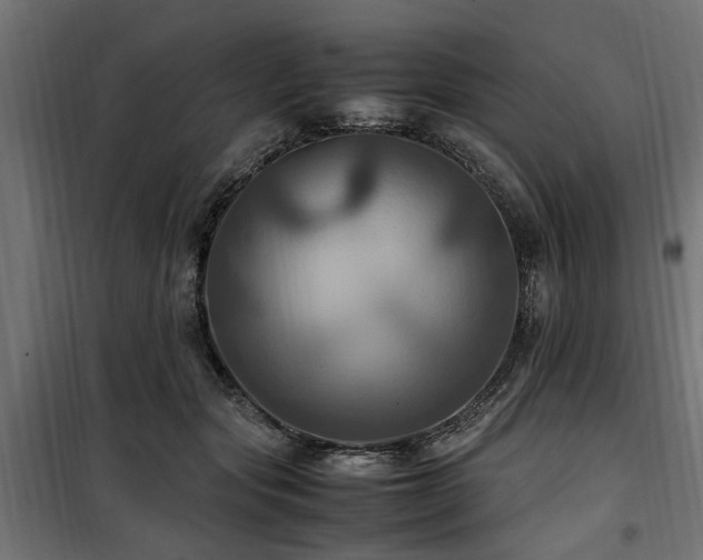 X0000100860557200806201220