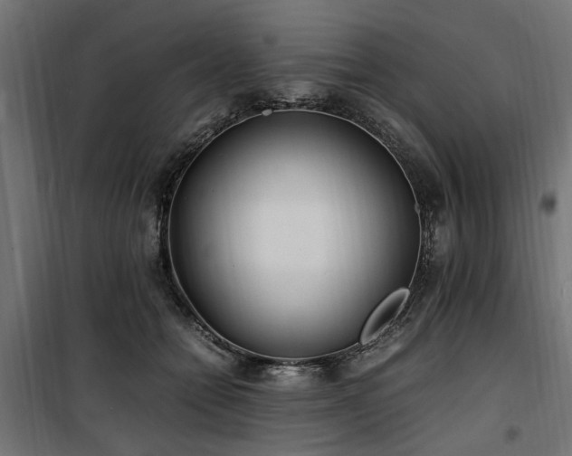 X0000100860558200806201220