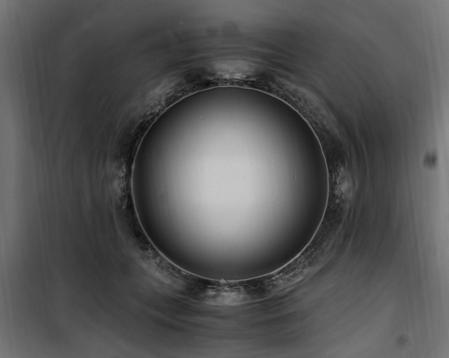 X0000100860559200806201220