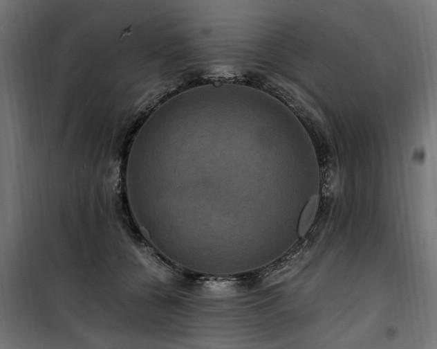 X0000100860560200806201220